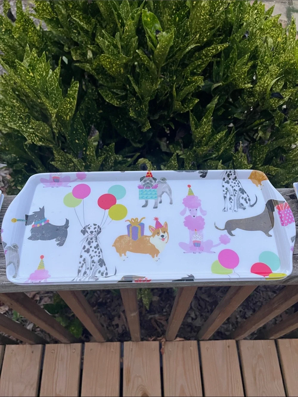 Cynthia Rowley Party Dogs Melamine set